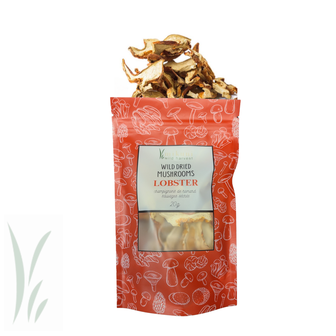 Dried Wild Lobster Mushrooms / 20g